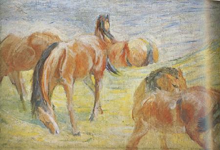 Franz Marc Graing Horses i (mk34) Germany oil painting art